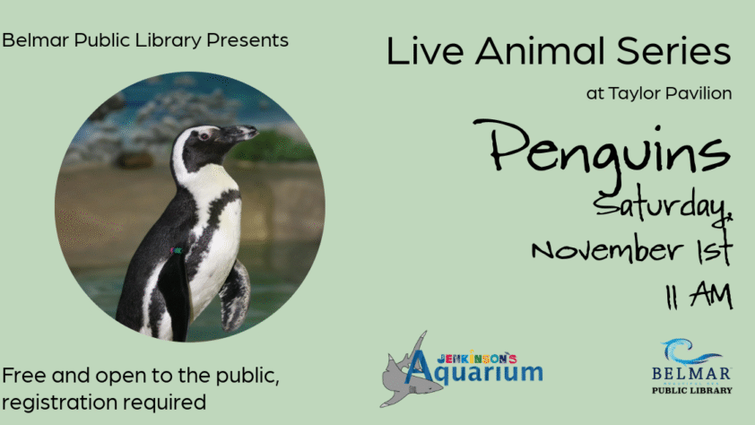 Live Animal Series Penguins Saturday, November 1st 11 AM at Taylor Pavilion, Belmar NJ