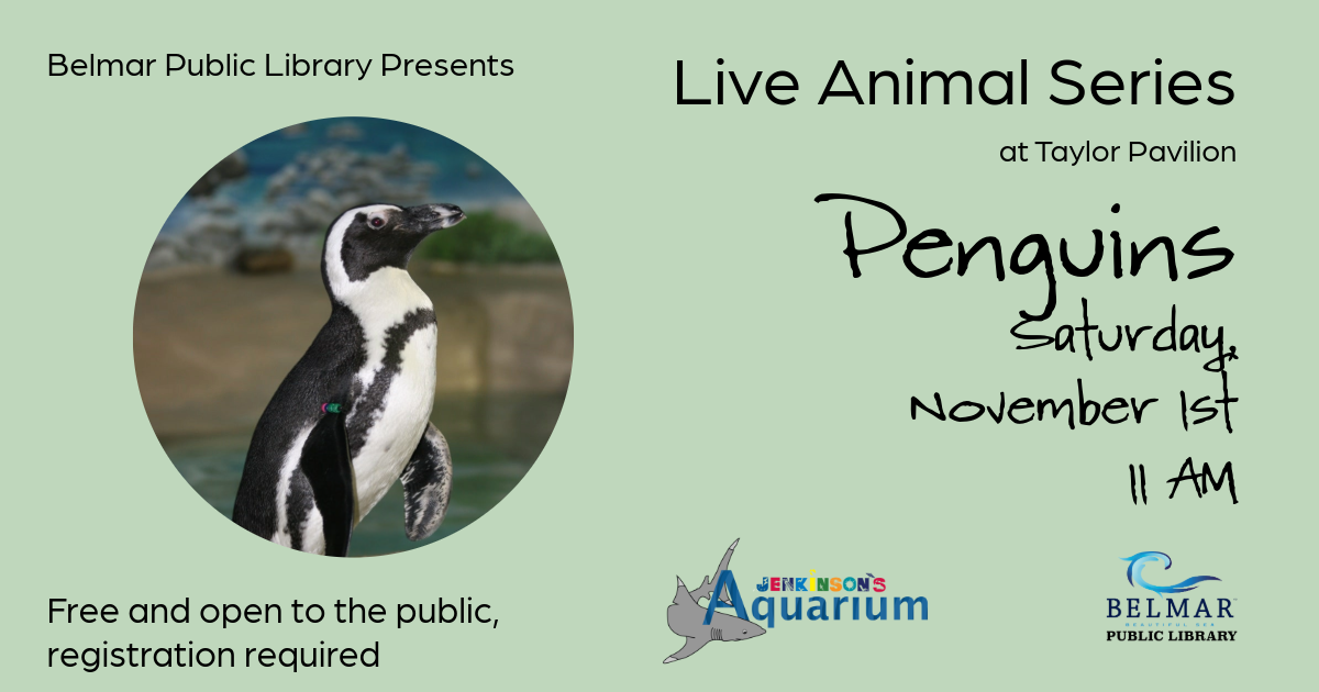 Live Animal Series Penguins Saturday, November 1st 11 AM at Taylor Pavilion, Belmar NJ