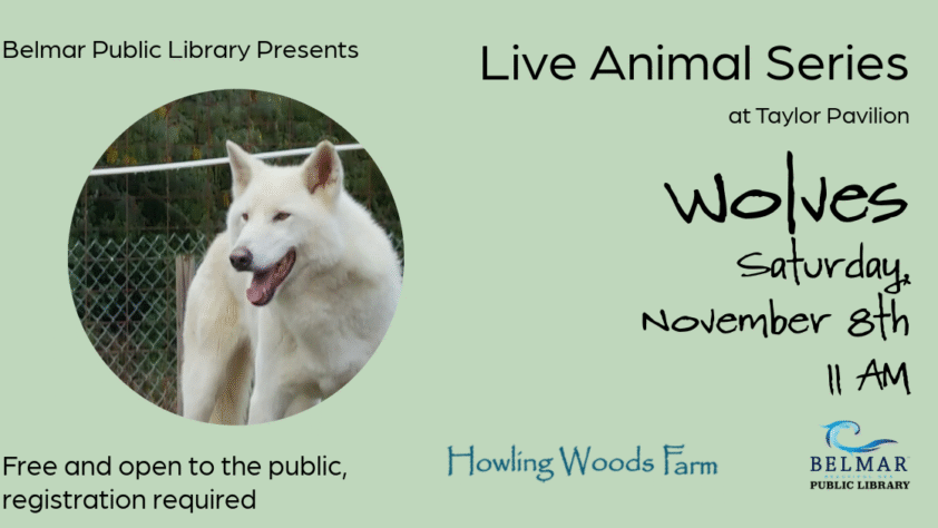 Live Animal Series Wolves Saturday, November 11th 11 AM at Taylor Pavilion, Belmar NJ