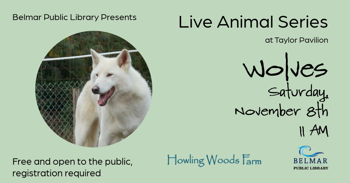 Live Animal Series Wolves Saturday, November 11th 11 AM at Taylor Pavilion, Belmar NJ