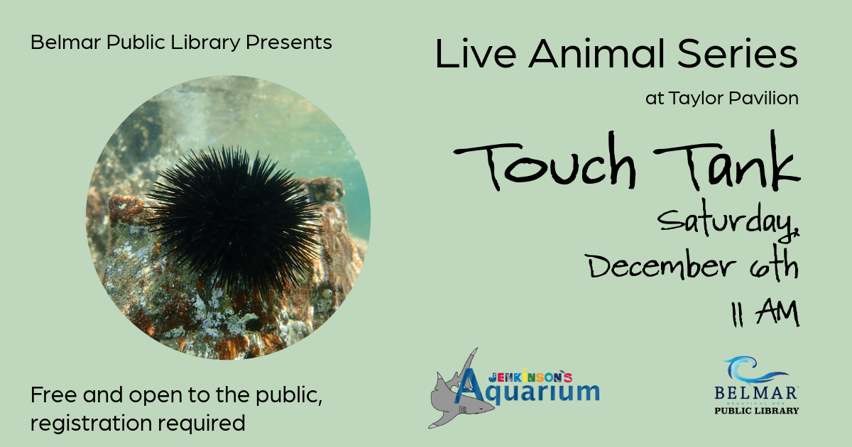 Live Animal Series Touch Tank Saturday, December 6th 11 AM at Taylor Pavilion, Belmar NJ